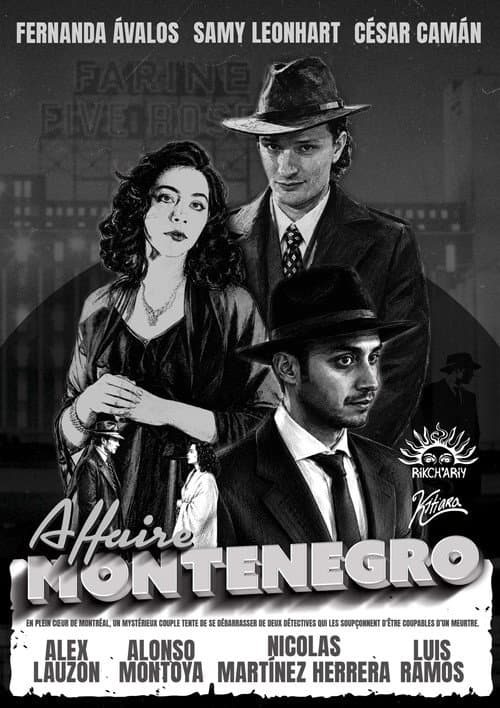 The Montenegro Affair