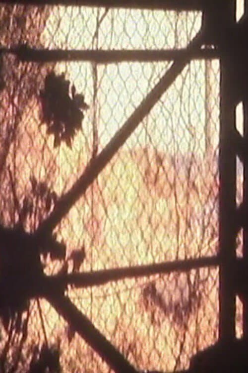 Eclipse of Hunting