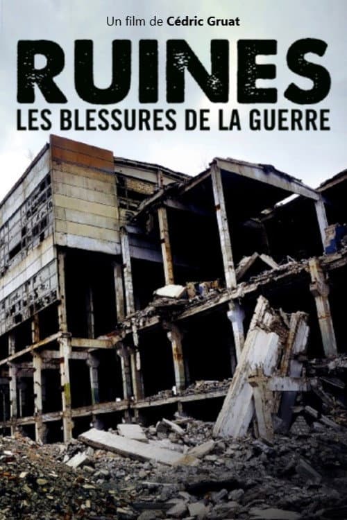 Ruins: A History of Contemporary Warfare