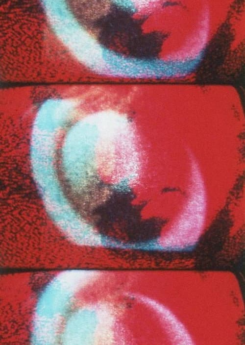 Video Self-Portrait