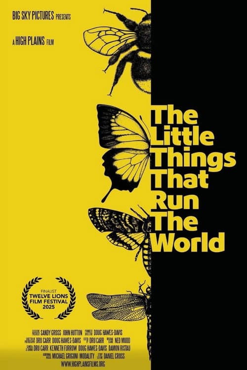 The Little Things that Run the World