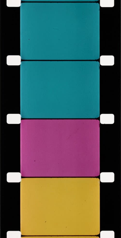 Analytical Studies I: The Film Frame