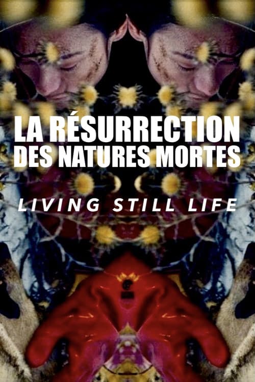 Living Still Life