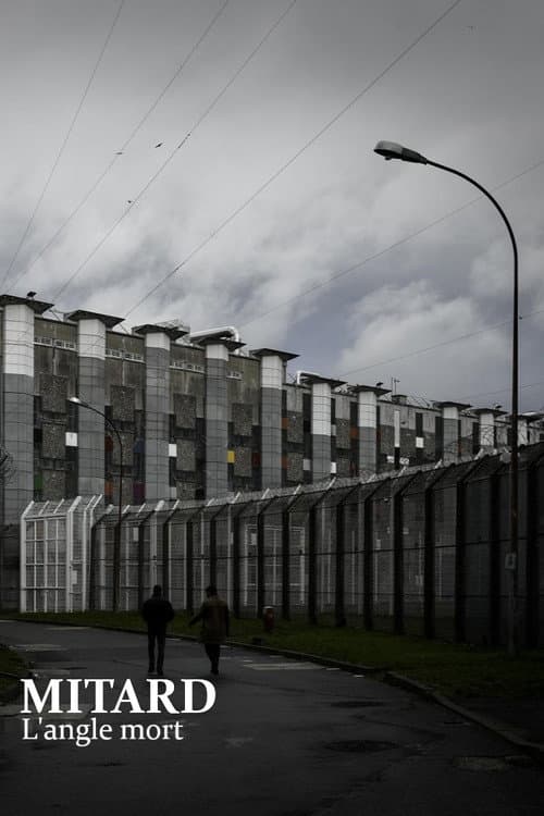 Deaths in Solitary Confinement: The Prison System's Blind Spot