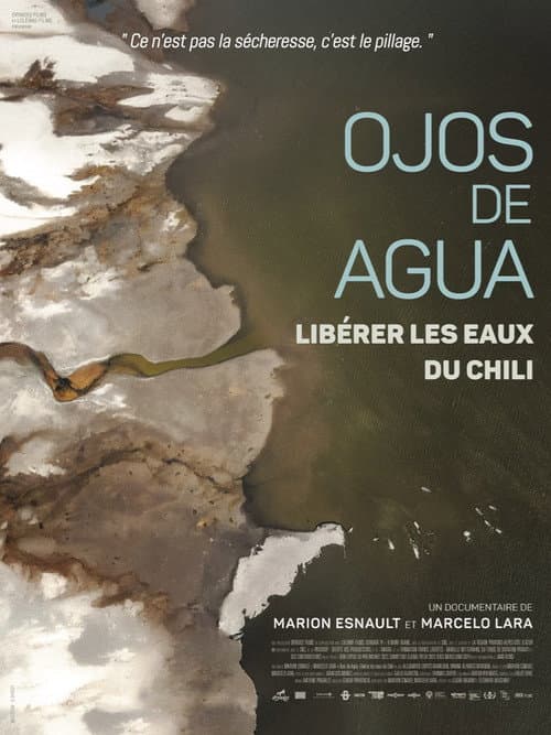 Ojos de Agua: Freeing the Waters of Chile