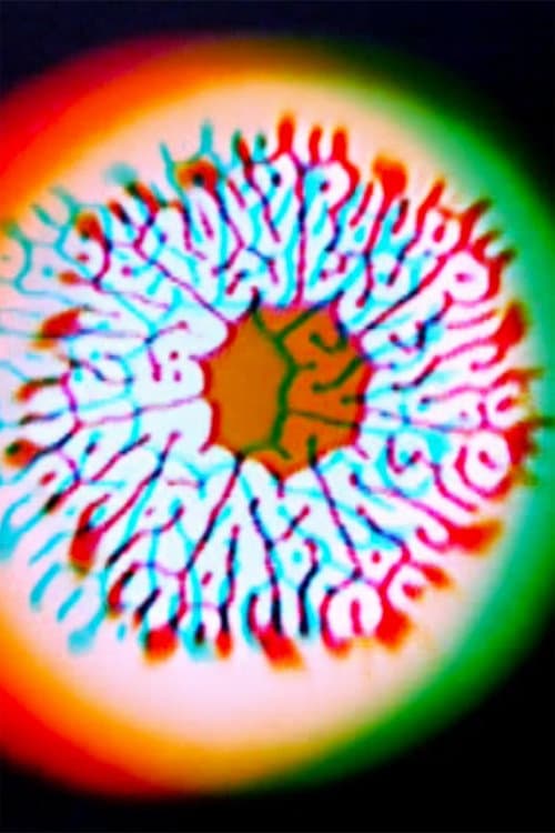 Molecular Feedback