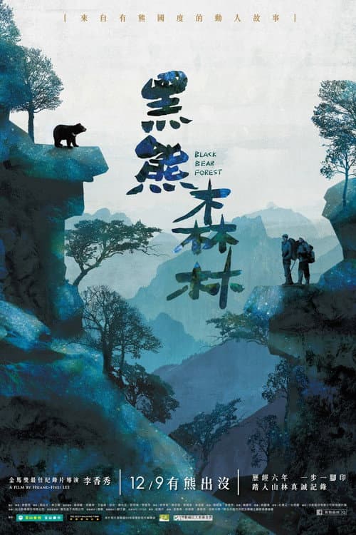 Black Bear Forest