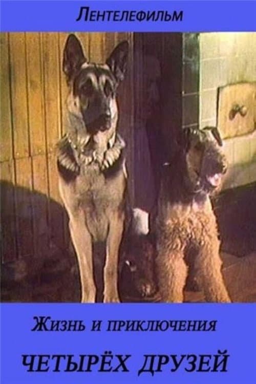 The Life and Adventures of Four Friends 3/4