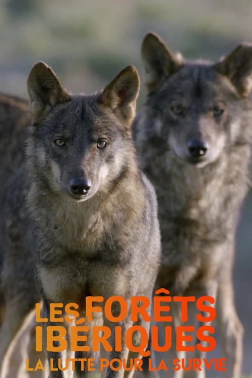 Les forêts ibériques : La lutte pour la survie