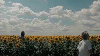 Trailer | Without | Luka Papić