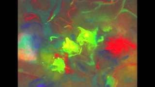 minamo -60 second version-