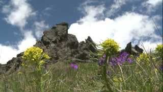 Një Rreze mbi Sharr #1 (Sunshine Over Sharr Mountain - Clip #1 Official)