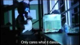 Black Rat Trailer