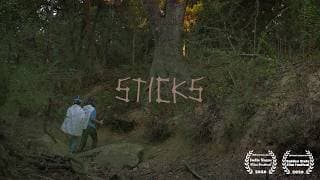 sticks