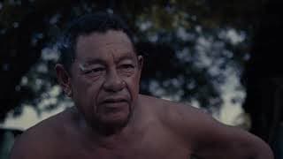 Audio & the Alligator - Sheffield DocFest 2024