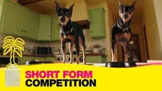 Golden Revenge - Short Form Competition - CANNESERIES