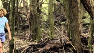 BUTTERFLY (Mariposa) by Marco Berger - EXCERPT