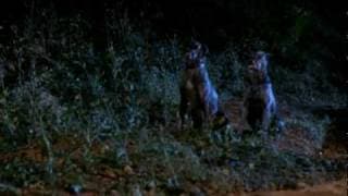 ZOLTAN: HOUND OF DRACULA (1978; trailer) Reggie Nalder