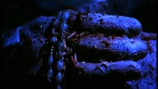 Голоса извне / Voices from Beyond / Voci dal profondo (1991) trailer