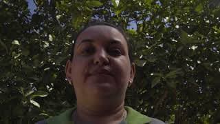 TRAILER - O PONTO DO MEL