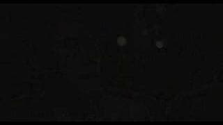 Reincarnation (Trailer)