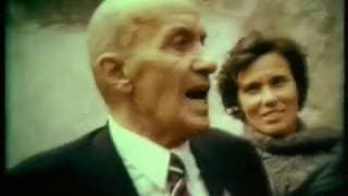 ალპური ვარსკვლავი [Stella alpina]