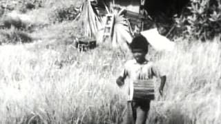 Short Film