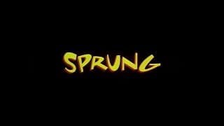 Sprung (1997, trailer) [Tisha Campbell-Martin, Rusty Cundieff, Paula Jai,  ParkerJoe Torry]