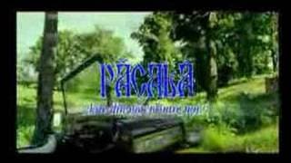 Pacala se intoarce