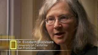 How Stress Affects the Body - National Geographic - Stress - Portrait of a Killer