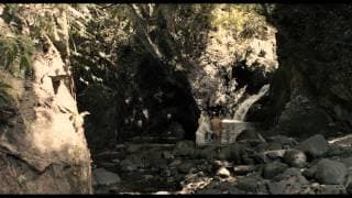 Black Stone - trailer