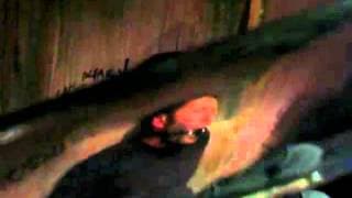 Gag Trailer