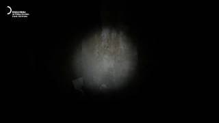 CineDOC-Tbilisi 2020 | Trailer | Linger on Some Pale Blue Dot by Alexandre Koberidze