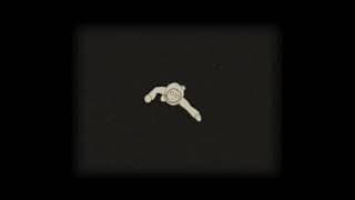 A clip from The Journey