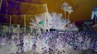 Revisited Remunerations Rapturously Collapse When Recompensed
