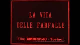 La vita delle farfalle (Roberto Omegna, 1911)
