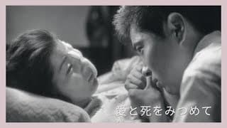 「愛と死をみつめて」予告篇
