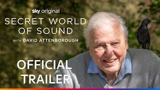Official UK Trailer