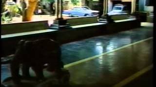 Malayalam Classic full movie Oridathu (1986) Part1