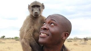 OFFSPRING FILMS   MONKEYS PROMO