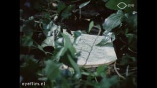 Soldaten zonder geweren