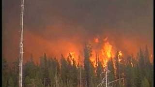 Yellowstone Aflame Music Video - National Park DVD