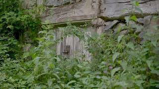 Gniele - Trailer