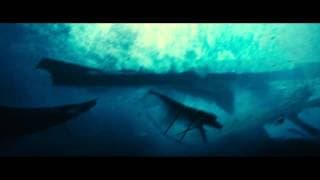 RUST AND BONE - Official UK Trailer (in cinemas Nov 2nd 2012)