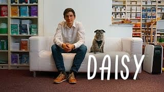 Daisy (Kurzfilm 2016)