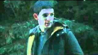 Island Trailer 2011