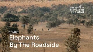 Elephants By The Roadside Trailer | SGIFF 2024