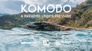 Komodo: A Paradise Under Pressure (360 VR Trailer - Out Now!)