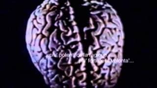Radice Quadrata Di Tre (Lidris Cuadrade Di Tre') Trailer Lorenzo Bianchini Horror Movie