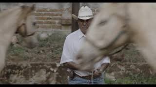 IDFA 2018 | Trailer | Caballerango